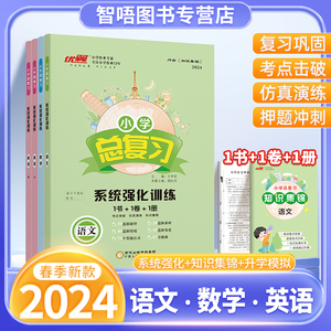 2024春专项小学总复习系统强化训练语文数学英语人教版湘少版六年级课本同步练习小学升学测试卷复习册小升初6年级