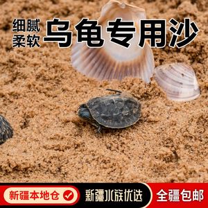 乌龟专用沙冬眠孵化细河沙鱼缸造景底砂草龟鳄龟巴西龟下蛋用砂子