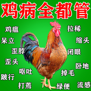 鸡瘟药养鸡专用药小鸡感冒发烧黄白痢疾瘫痪流感浆膜炎小鸡防疫药