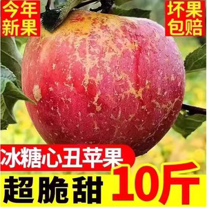 云南昭通丑苹果冰糖心苹果水果新鲜脆甜10斤红富士当季整箱