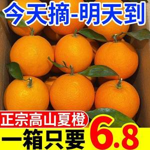 正宗江西夏橙橙子9斤新鲜当季水果冰糖甜橙果冻橙大果10赣州