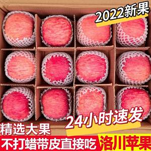 2022新果陕西西安洛川苹果官方正宗旗舰店新鲜水果产地直发直销10