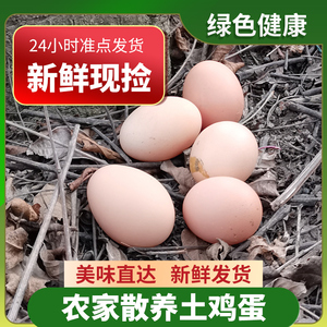 上海崇明20枚30枚林间散养草鸡蛋包邮五谷杂粮喂养土鸡蛋家户蛋