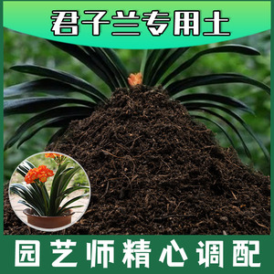 君子兰专用土腐殖土种花养花盆栽土绿植君子兰营养土种植有机土壤
