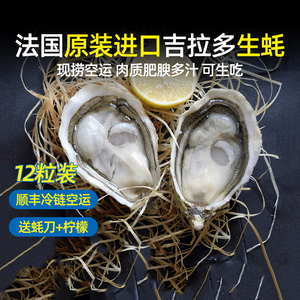 法国进口鲜活即食生蚝吉拉多N3顺丰空运新鲜刺身级生吃大海蛎12粒