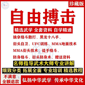 学自由搏击拳击散打武术教学视频教程零基础入门学习搏击格斗课程