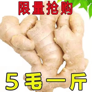 山东大姜老姜生姜新鲜黄姜土姜现挖子姜嫩姜鲜姜嫩姜牙5斤包邮