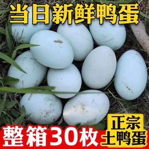 正宗农村土鸭蛋60-70g新鲜鸭蛋散养非海鸭绿壳鸭子蛋30枚整箱批发