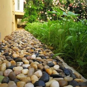 浙江鹅卵石铺地天然雨花石鹅软石庭院装饰造景彩色鹅卵石石头