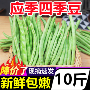 广西特产现摘四季豆10斤新鲜应当季蔬菜豌豆芸豆扁豆农家豆角包嫩