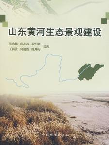 正版山东黄河生态景观建设 陈兆伟等编著 中国林业出版社