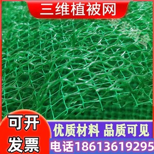 三维植被网土工网垫护坡网加筋边坡绿化塑料加格栅现货