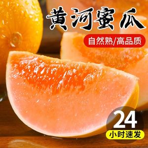 黄河蜜瓜新鲜当季水果香瓜甜瓜产地直发孕妇水果黄金小蜜瓜包邮