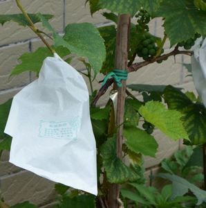 套梨专用袋梨袋套袋包枇杷袋梨树套袋葡萄套袋专用纸袋果袋防虫鸟