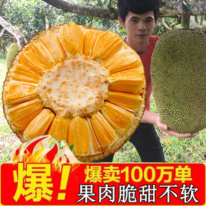 海南菠萝蜜心热带海南产菠萝蜜新鲜水果越南当季三亚特产6-20