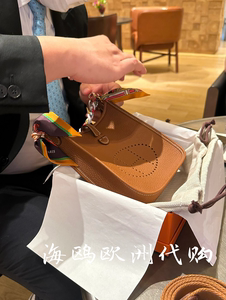 Hermes/爱马仕女包Evelyne伊芙琳包 mini金棕色金扣H字母镂空单肩