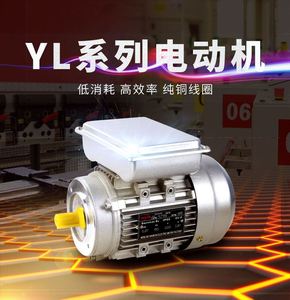 单项异步电动机900转550/750/1.1KW低速6级铝壳220/110V/60HZ定制