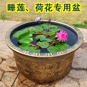 荷花专用盆养睡莲荷花特大号塑料加厚专用花盆缸莲藕铜钱草水培碗