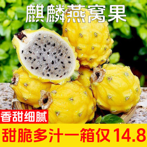 海南燕窝果新鲜麒麟果5斤甜糯黄色火龙果热带特产水果罕见包邮10