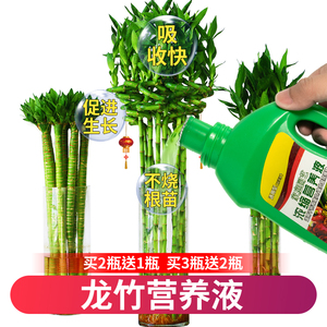 龙竹营养液植物通用龙竹专用肥料黄叶盆栽富贵竹水培转运竹营养液