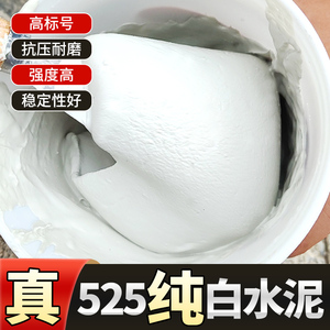 白水泥525速干防水卫生间瓷砖勾缝填补堵漏家用地面补坑修补粉料