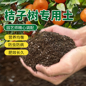 桔子树专用土树苗家用种植土沙糖橘专用营养土橘子树果树土壤肥料