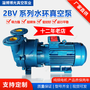 2bv水环式真空泵工业用小型防冻抽真空机循环水真空泵无油负压泵