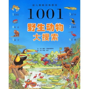 正版九成新图书|1001幼儿智能训练游戏：野生动物大搜索[英]鲁斯