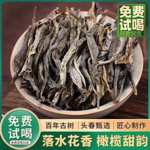 2021年倚邦茶区猫耳朵古树茶头春茶云南普洱茶生茶散茶500克礼盒