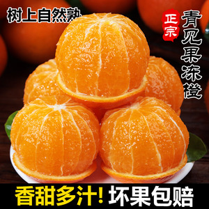 正宗青见果冻橙四川新鲜当季水果手剥甜橙子榨汁大果特级整箱包邮