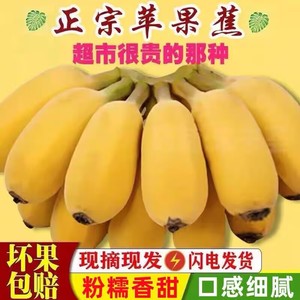 广西苹果焦应季自然熟香蕉10斤新鲜整箱粉芭蕉水果现摘软糯香甜