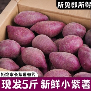 正宗越南进口小紫薯5斤新鲜紫心红薯番薯地瓜烟薯蜜薯珍珠代餐薯