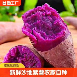 新鲜沙地紫薯农家自种地瓜香薯蜜薯板栗红薯山芋香甜红署小番薯