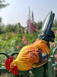 仿真动物鸡摆件树脂大公鸡母鸡模型户外花园装饰 庭院 农家乐装饰
