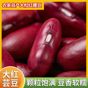 红芸豆大豆云南农家自产大粒红腰豆芸豆煲粥煮汤五谷杂粮大红豆