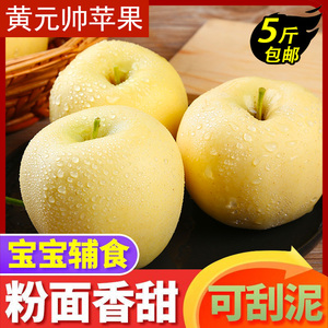 金帅苹果黄金帅粉苹果粉面黄元帅新鲜水果非红富士苹平果5斤
