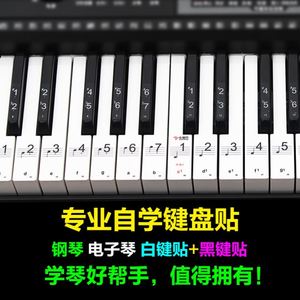 粘贴标签61数字键位54建盘帖纸儿童五线谱字88健钢冈琴电子刚芩呫