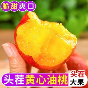黄肉桃子新鲜黄心油桃5斤桃应当季水果脆甜蜜桃孕妇整箱包邮精品