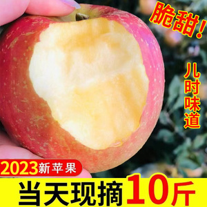 正宗大沙河苹果红富士冰糖心脆甜徐州丰县丑苹果当季新鲜水果10