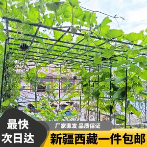 新疆西藏包邮户外庭院葡萄架组装支架百香果苦瓜攀爬架铁艺棚架阳