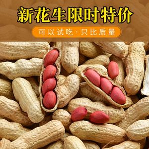 广东红皮花生带壳晒干生的农家种子新鲜四粒红衣花生米2023新货