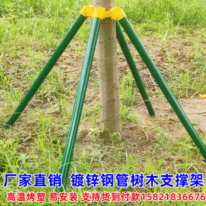 树木支撑架大树防风园林绿化支架树苗固定器镀锌钢管树木支撑杆