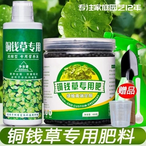 金钱草专用肥铜钱草颗粒有机肥料铜钱草营养水培铜钱草肥料肥盆栽