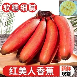 现摘广西红皮香蕉新鲜当季自然熟红美人粉蕉芭蕉水果整箱3/5/9斤