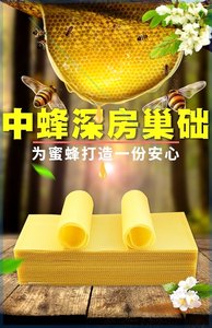 养蜂中蜂专用深房巢础蜂蜡巢皮巢纸蜂巢基全套蜂箱巢框蜜蜂用具