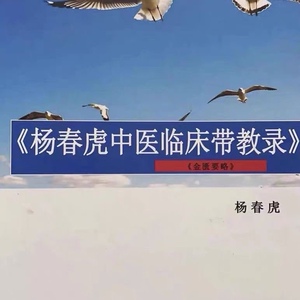 中医书籍 杨春虎中医临床带教录 500多页.送视频