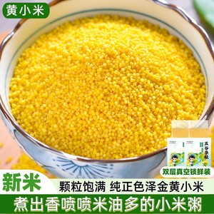 米香油厚黄小米 新米农家自种食用粘糯米粗粮杂粮黄金小米粥新货