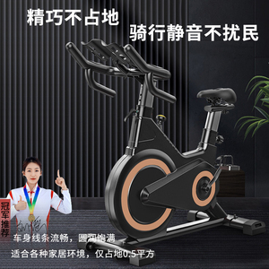 动感单车家用磁控超静音智能室内减肥器材健身房专用运动自行车