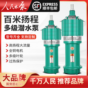 人民水泵多级潜水泵小老鼠上海高扬程大流量220v深井泵380v抽水泵