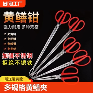 不锈钢黄鳝夹子抓泥鳅火钳控抓鱼器赶海工具不绣钢螃蟹野外防滑